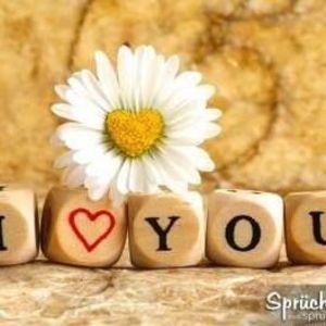 Meet your Posher, Jing